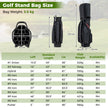 Del – Golfklubba Set för Högerhänt med Golfväska Caddy Bag – 11 – Svart