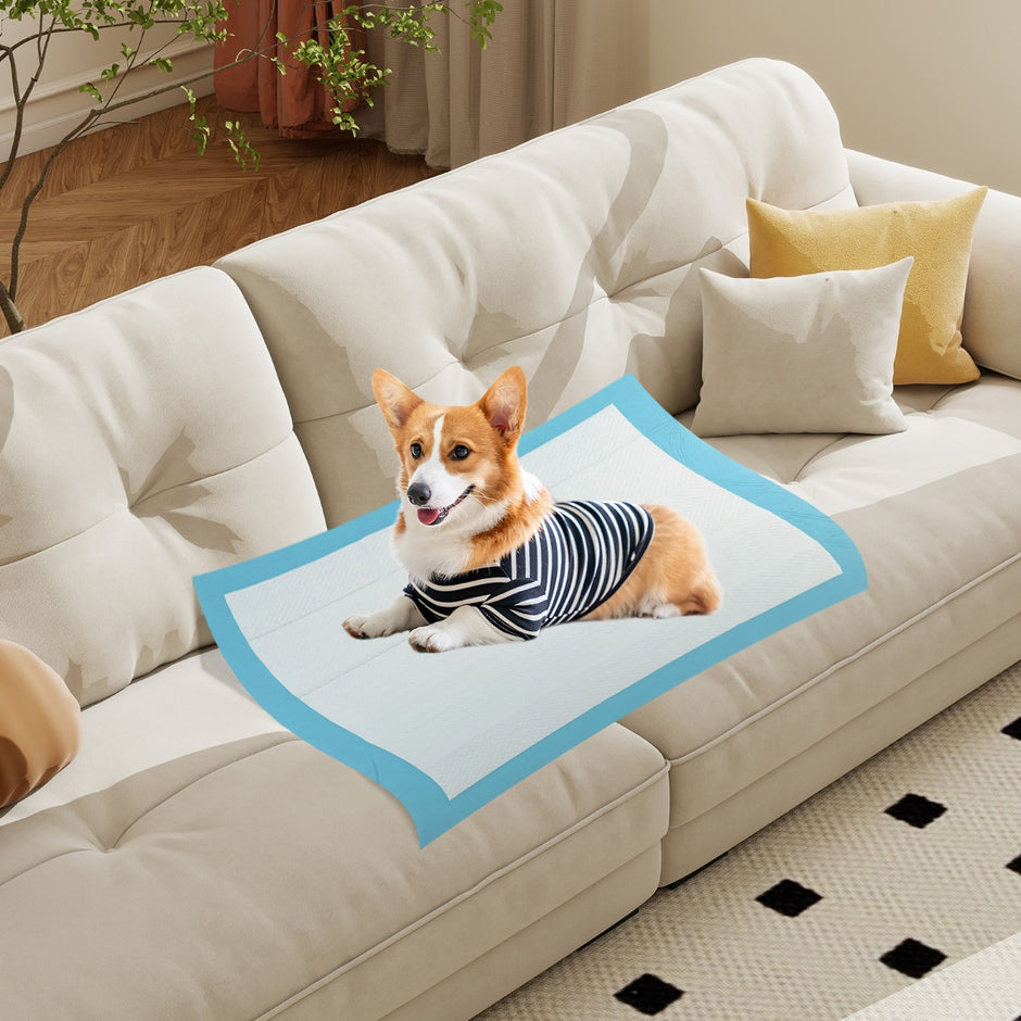 Träningsmaterial – Hunden Utehållande lagers design Valpunderlag Puppy Pads (90 x stycken) – 6 60 cm 150 – Blå