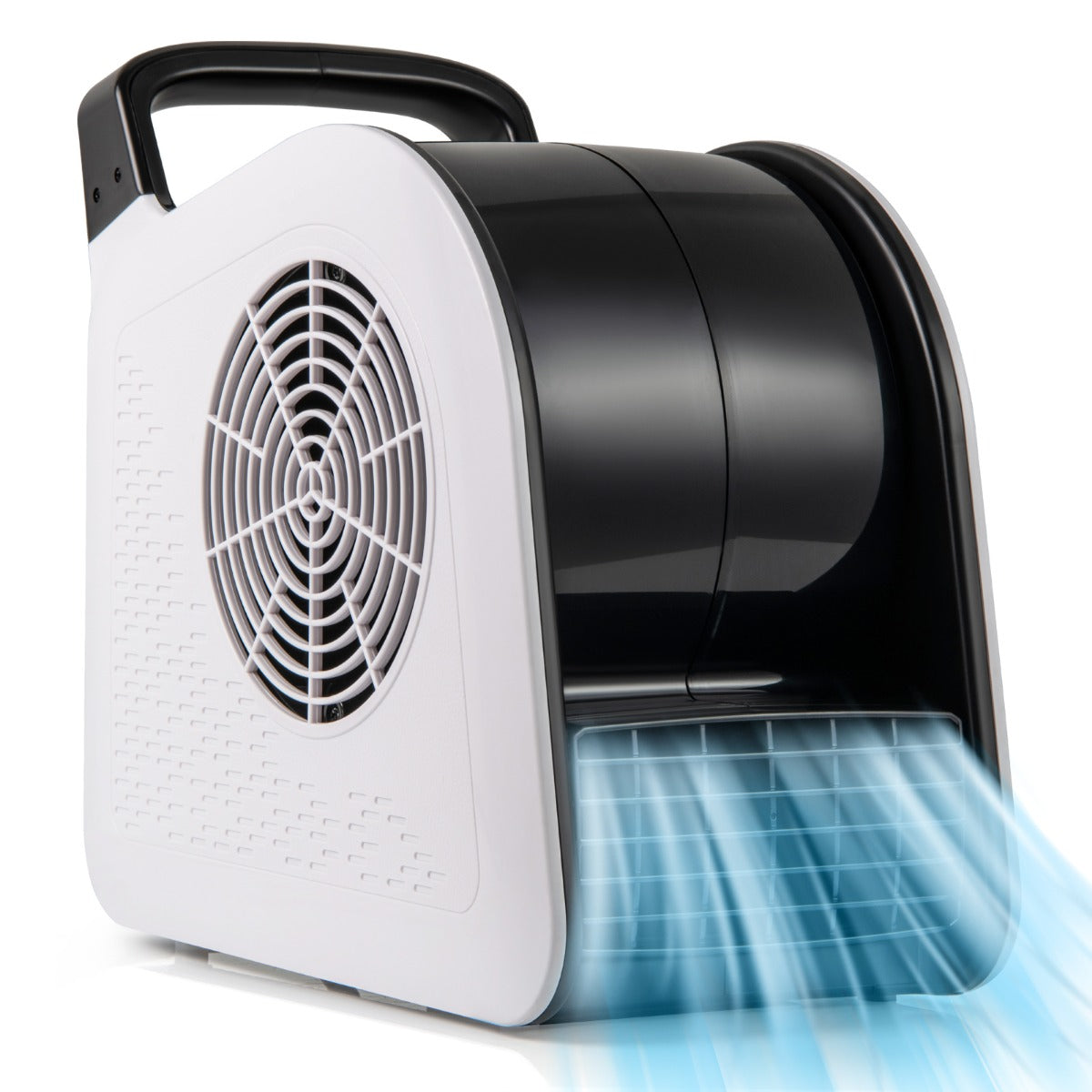 Bottens – blåsmaskin 130W hastigheter och 185° svängbart huvud för torkning ventilation – 3 – Svart och vit