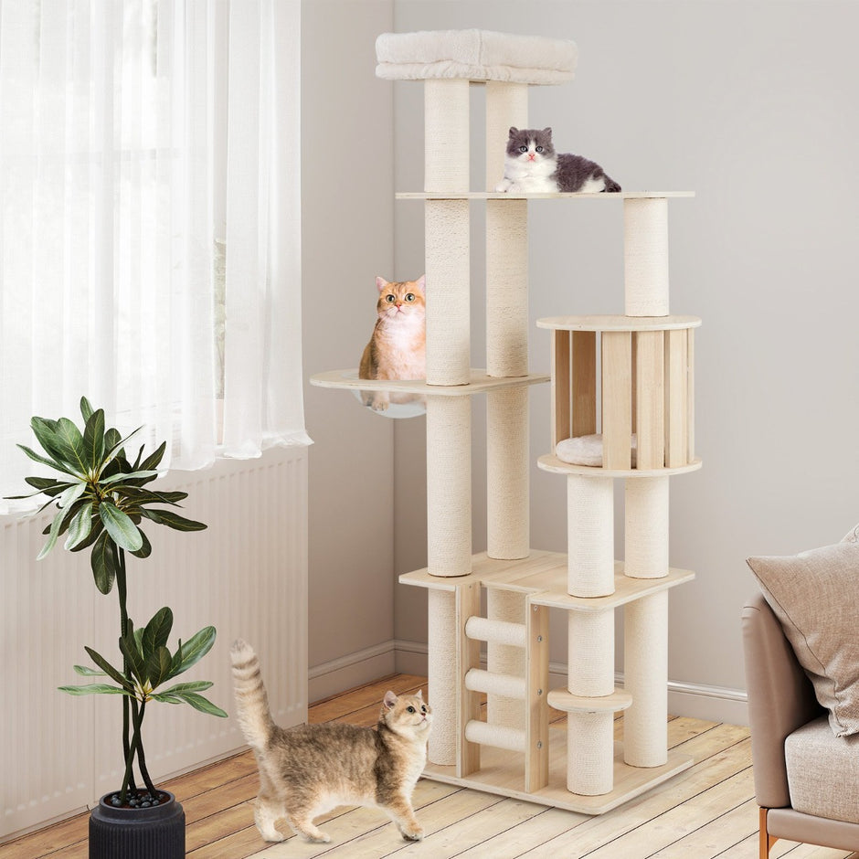Klätterträd – med tjocka stammar, kattgrotta, rymdkapsel, sittplats och stege – 185 cm – Natur
