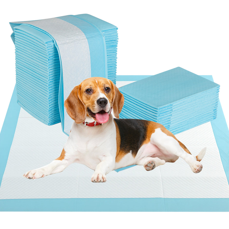 Träningsmaterial – för hundar, utomhussäkert lagers design, valpunderlag Puppy Pads (76 x stycken) – 6 76 cm 150 – Blå