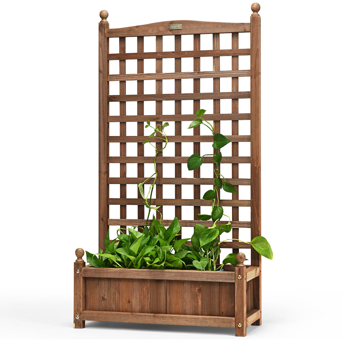 Blomlåda – med spaljé, planteringslåda i trä för klätterväxter, högbädd – 64,5 x 28 x 120 cm – Brun