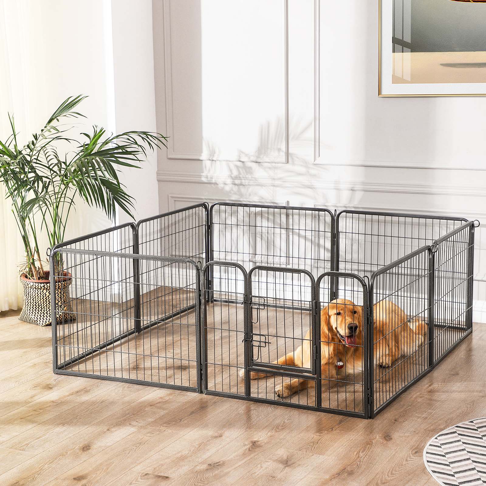 PuppyBox - 8 -Corner Dog Box - Foldbar
