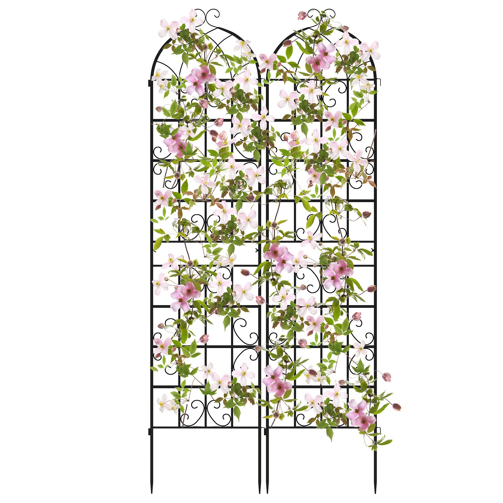 Rankgitter – Metall pack dekorativ trädgårdszaun fristående rankhjälp spaljé för nedsticking – 2 220 x 50 cm – Svart
