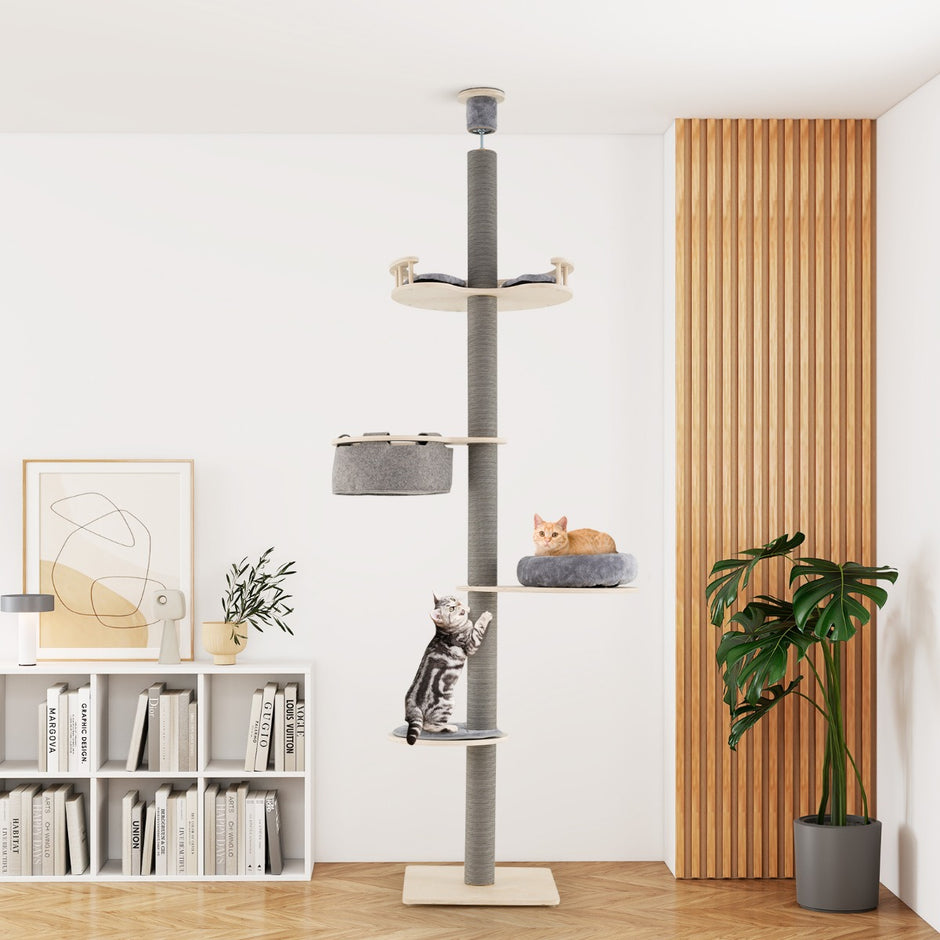 Golv – till tak klösträd med justerbar höjd nivåers plattform – 236-271 cm 5 – Grå