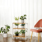 Shoe Rack - Bamboo Shoe Shelf - Också som ett växtställ eller badrumsställ - vitt