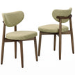 Eetkamerstoelen - Set van 2 - Ergonomische Rugleuning - Massief Hout - Groen