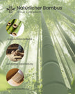 Schoenenbank - Bamboe - 3 Planken - 90 cm - Wolkenwit
