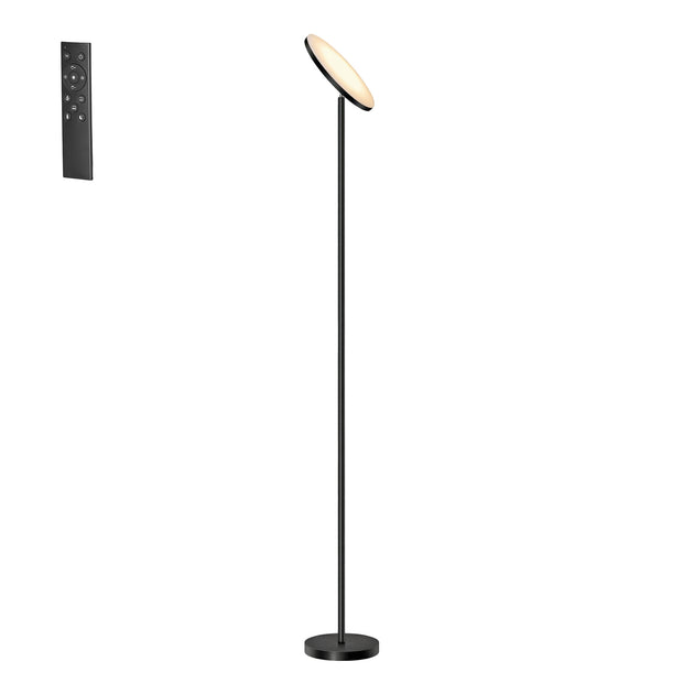 LED Vloerlamp - 30 W - Draaibare Kop - Met Afstandsbediening - Zwart