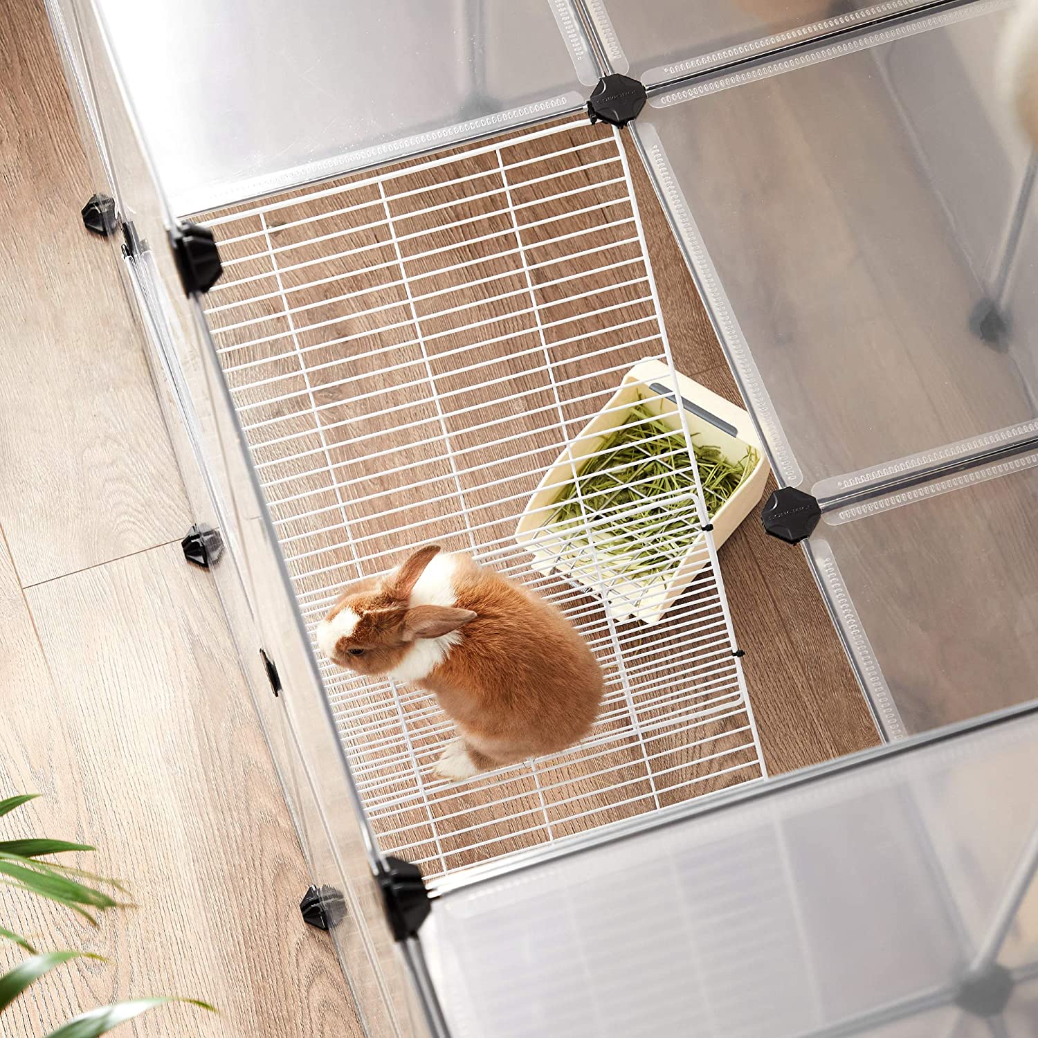 Animal Cage - utomhushus för hamster, marsvin, kanin - transparent
