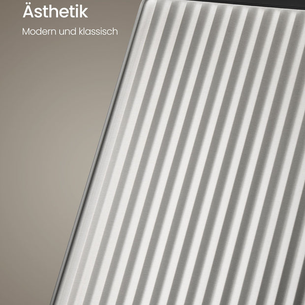 Afvalscheidingssysteem – 2 x 30 L – Staal – Soft-Close Deksel – Zilver