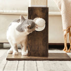 Scratching Post - med Toy - Sisaltouw - 73 cm - Brown