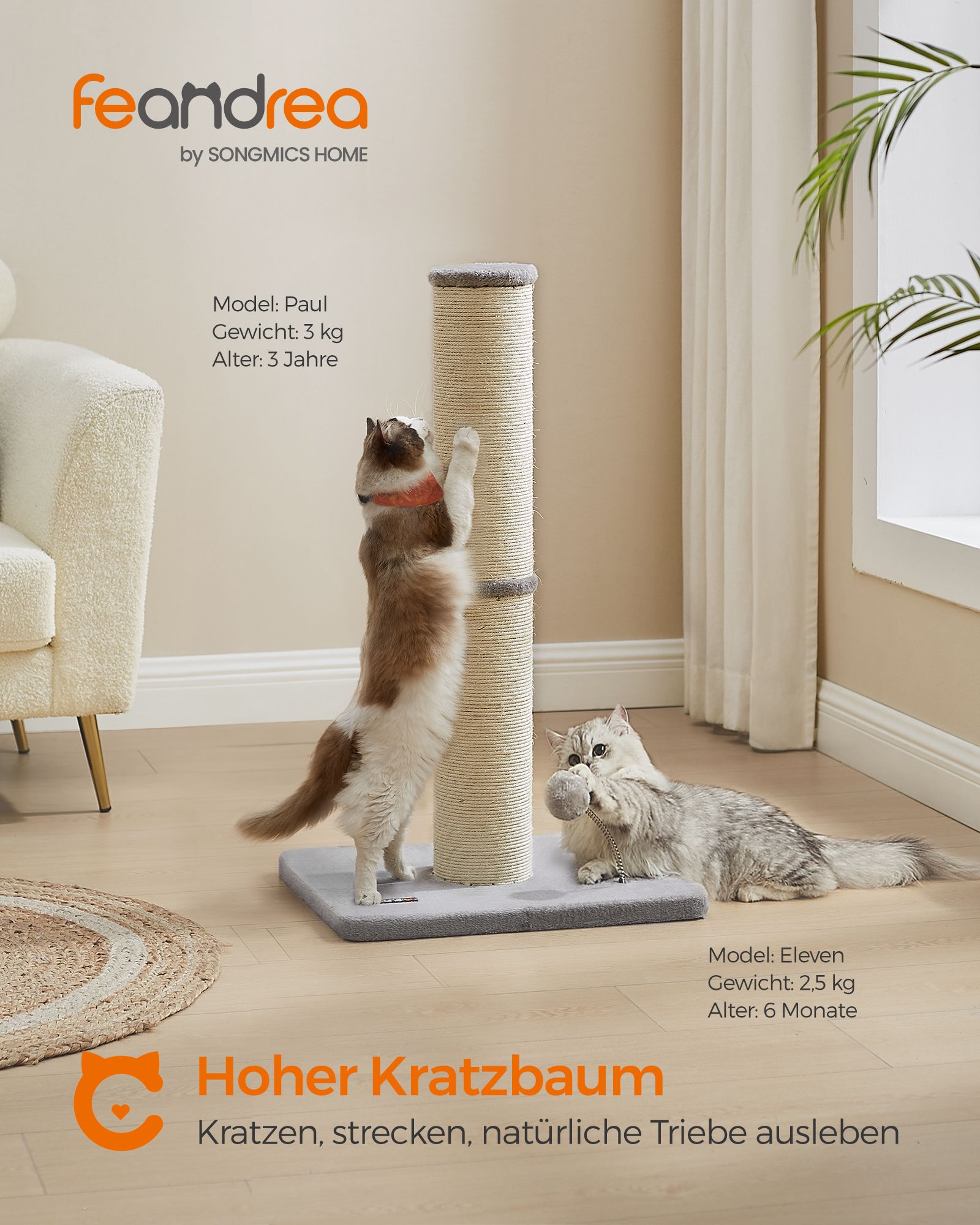 Skrapning efter 85 cm hög med klockor och plyschboll