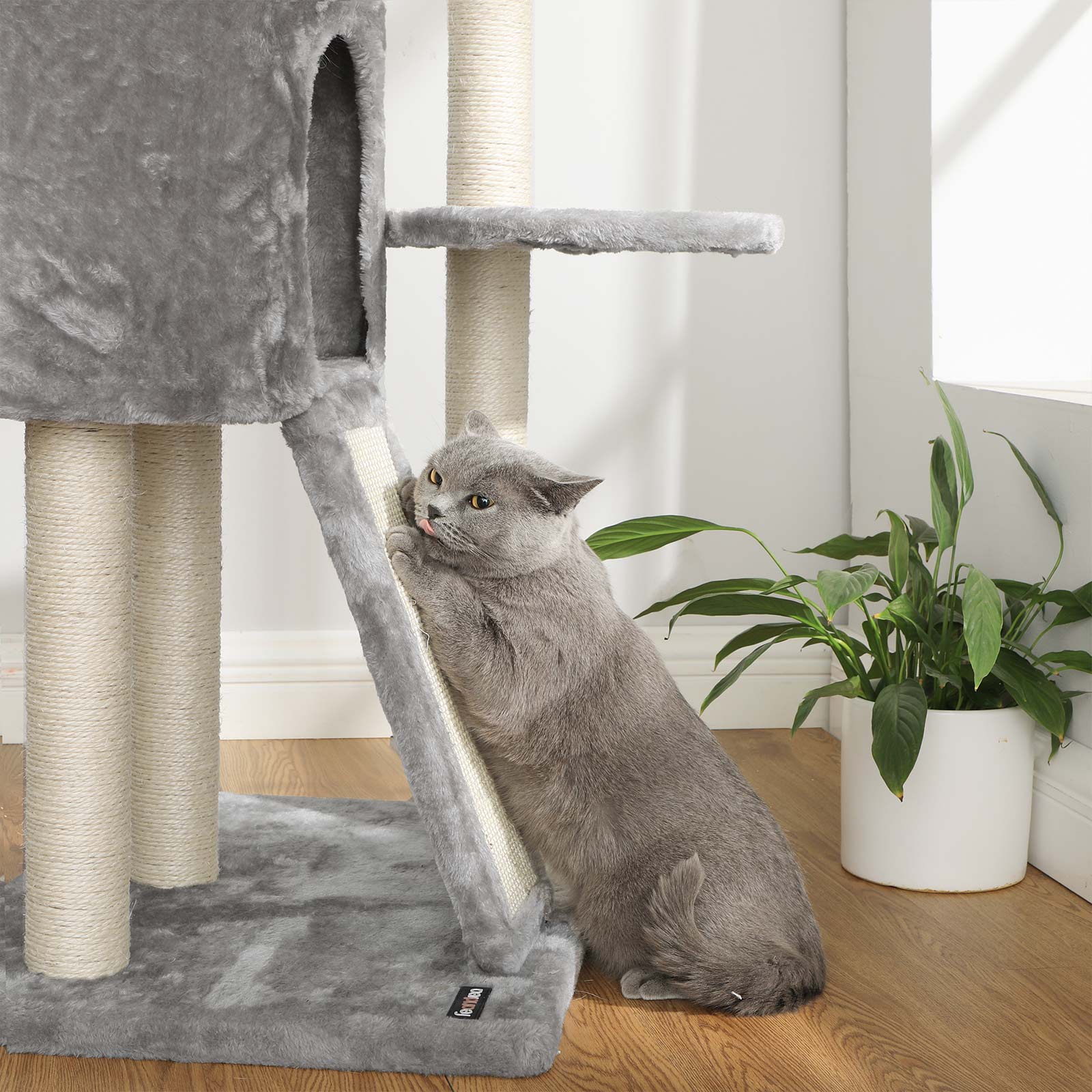 Scratching Post - Från golv till tak - ljusgrå