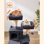 Scratching Post - 168 cm - 2 grottor