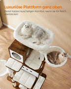 Scratching Post - med 2 grottor och 2 solstolar - Brown