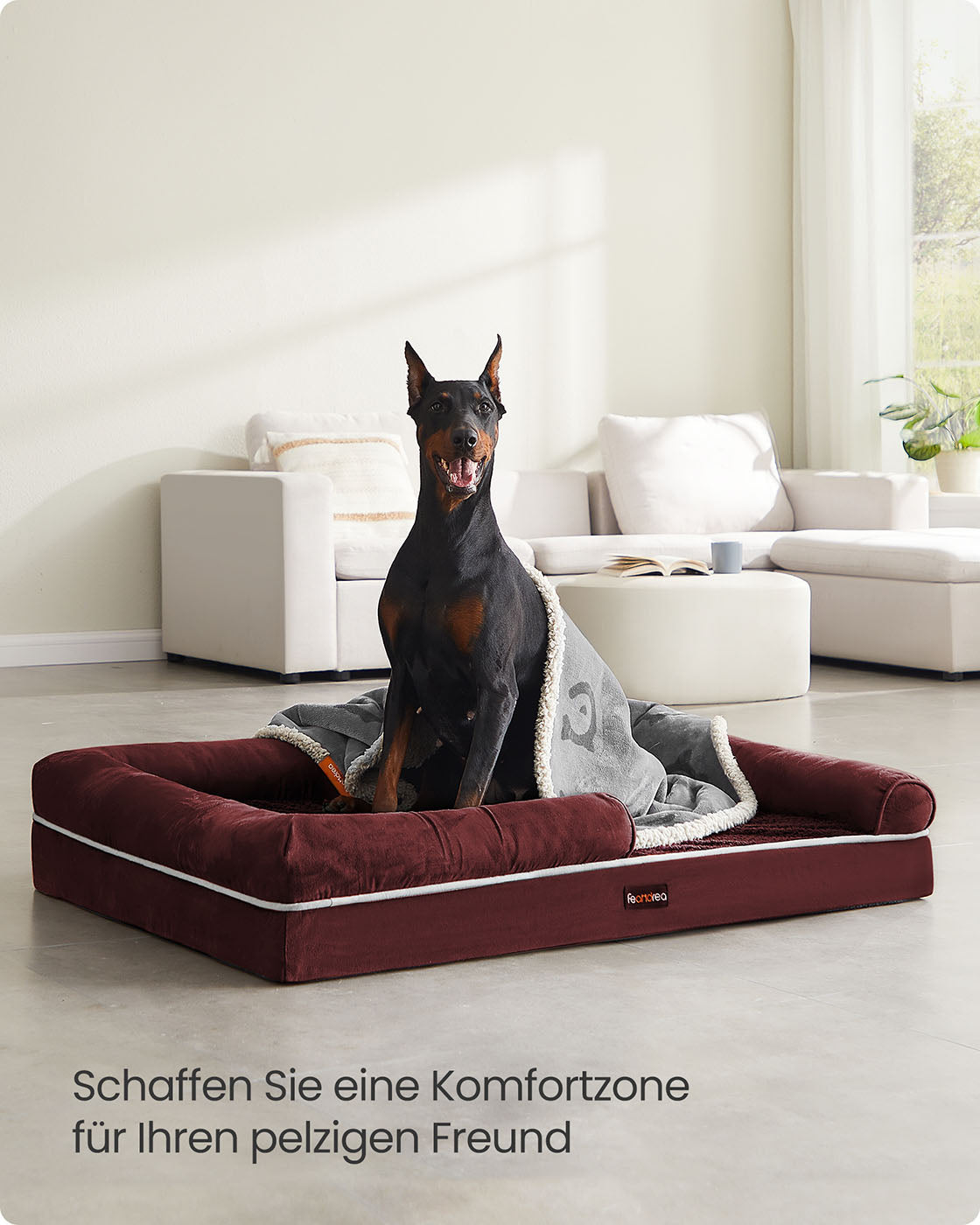 Ortopedisk hundsäng – Avtagbar kudde – Bärröd