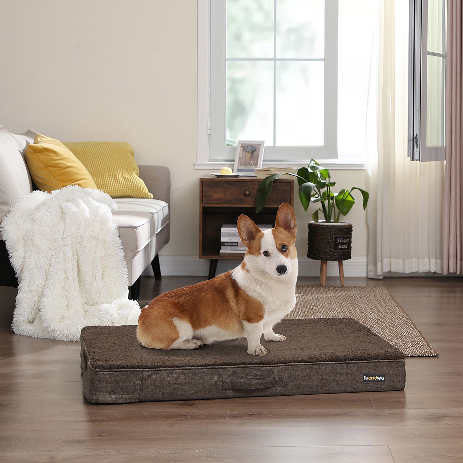 Ortopedisk hundkudde - 80 x 60 x 10 cm - brun