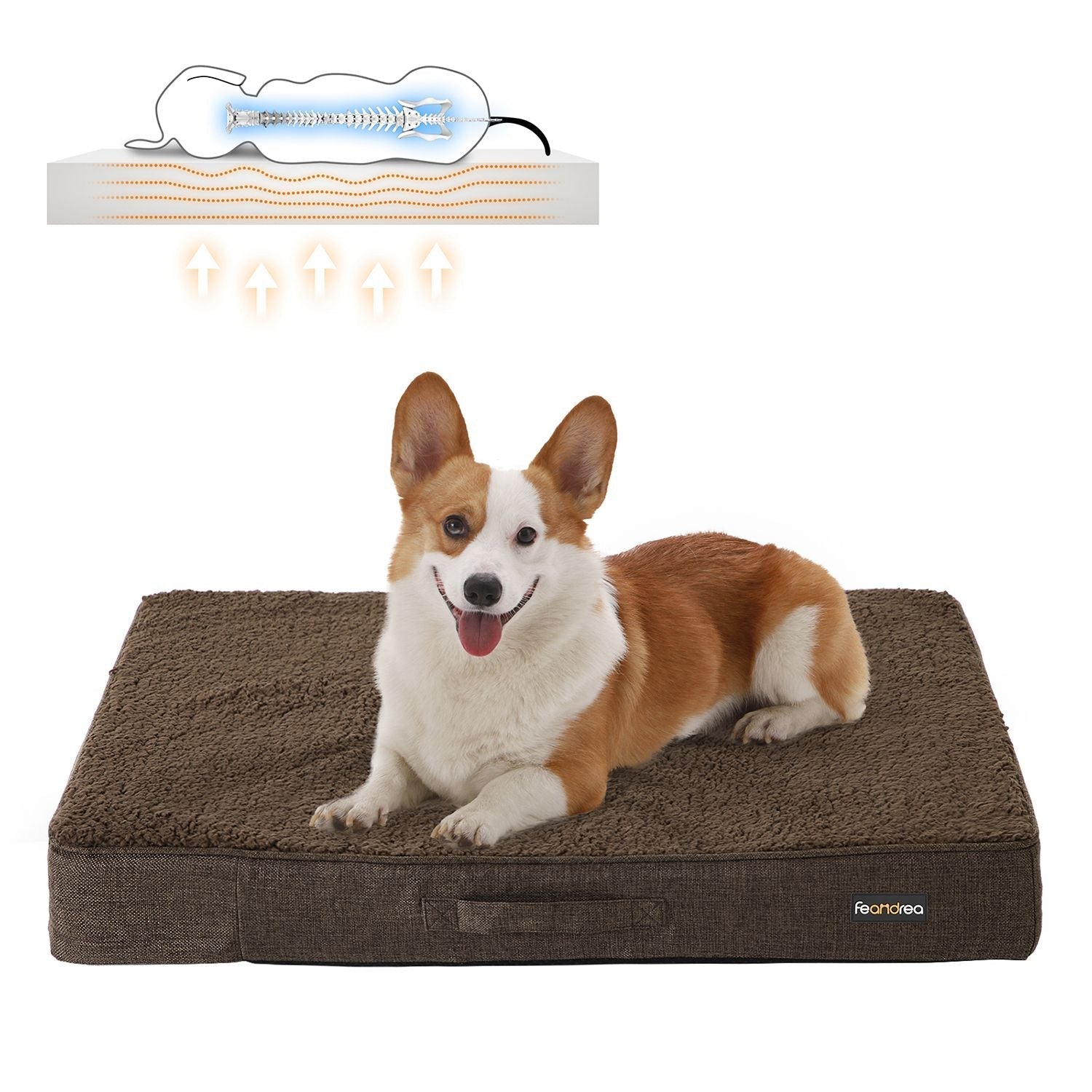 Ortopedisk hundkudde - 80 x 60 x 10 cm - brun