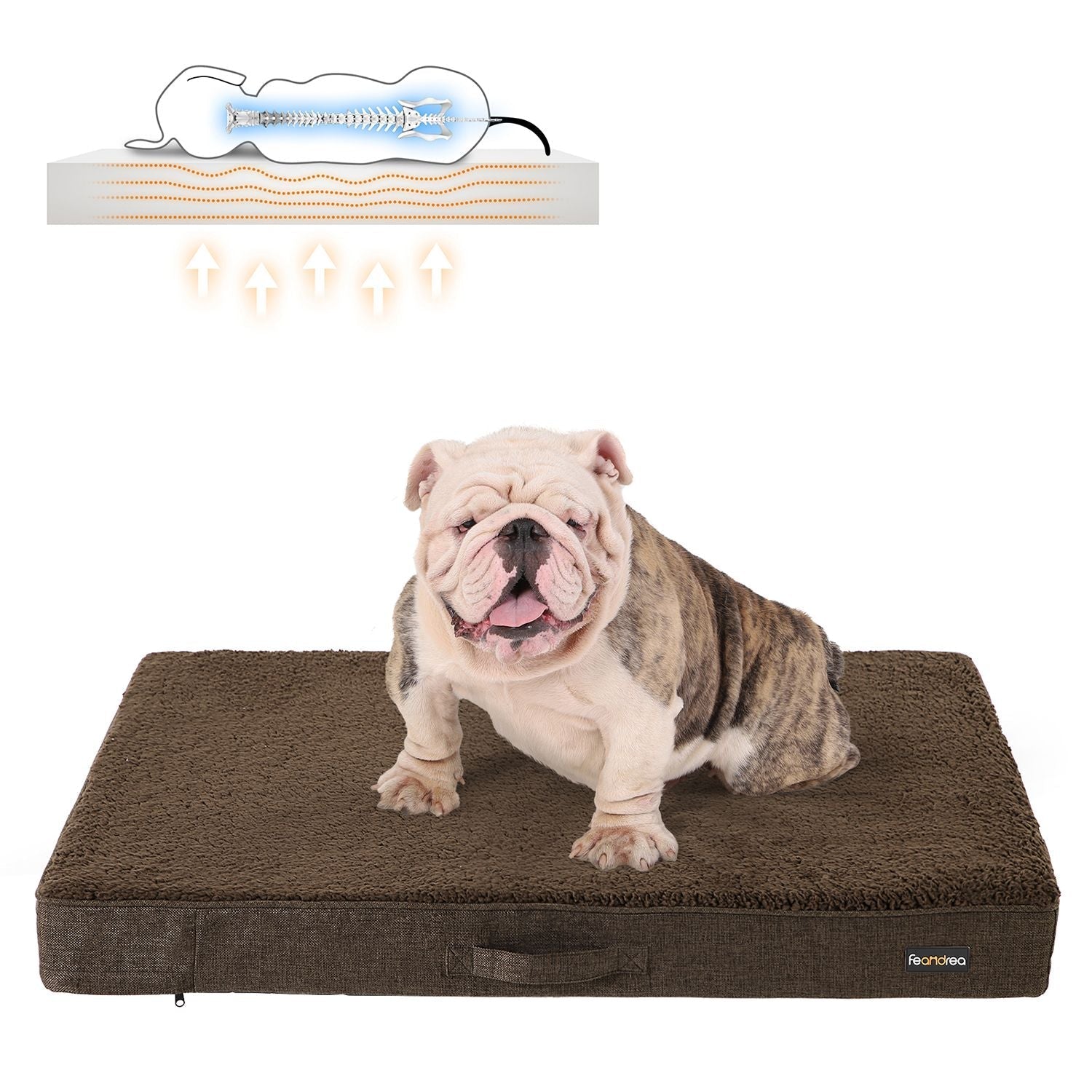 Ortopedisk hundkudde - 100 x 70 x 10 cm - brun