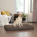 Ortopedisk hundkudde - 120 x 80 x 10 cm - brun
