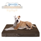 Ortopedisk hundkudde - 120 x 80 x 10 cm - brun