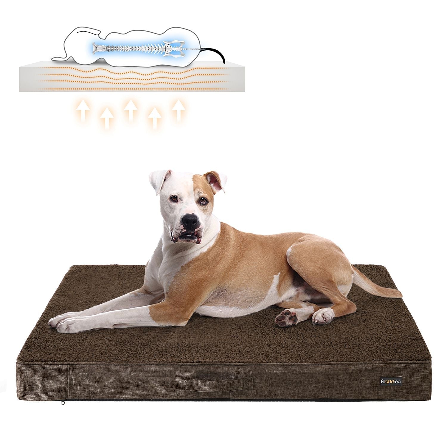 Ortopedisk hundkudde - 120 x 80 x 10 cm - brun