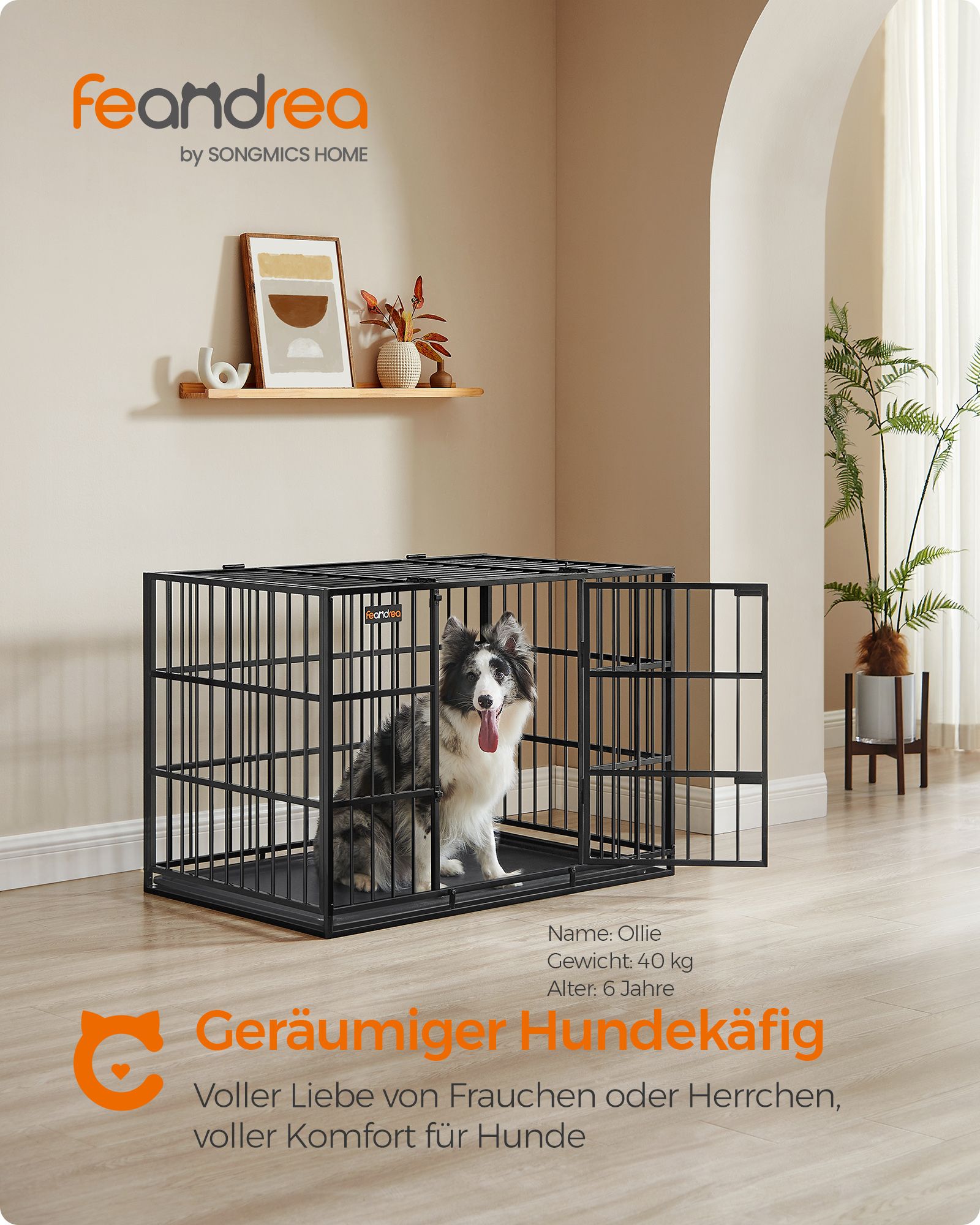 Hundbur – Avtagbar bottenbricka – Stål – Bläcksvart