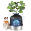 Kattenbak – Gesloten – XXL – RVS – Met Decoratieve Plant en Geurbeheersing – Inktzwart en Zilver