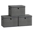 Opbergdozen - 43 x 30 x 30 cm - Set van 3 - Leigrijs - Maximale draagkracht per doos 5 kg