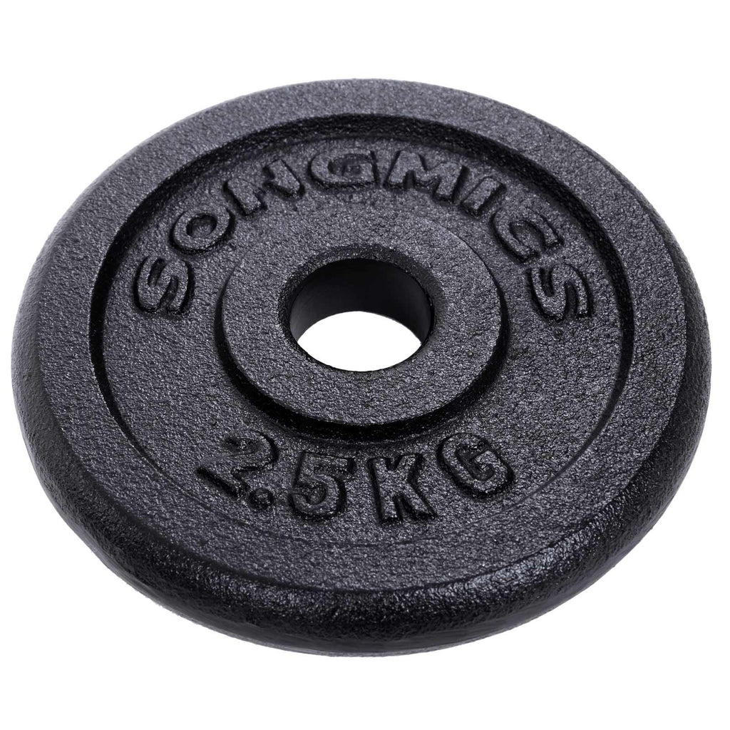Halters - gjutjärn med hantlar - uppsättning av 2 - totalt 40 kg