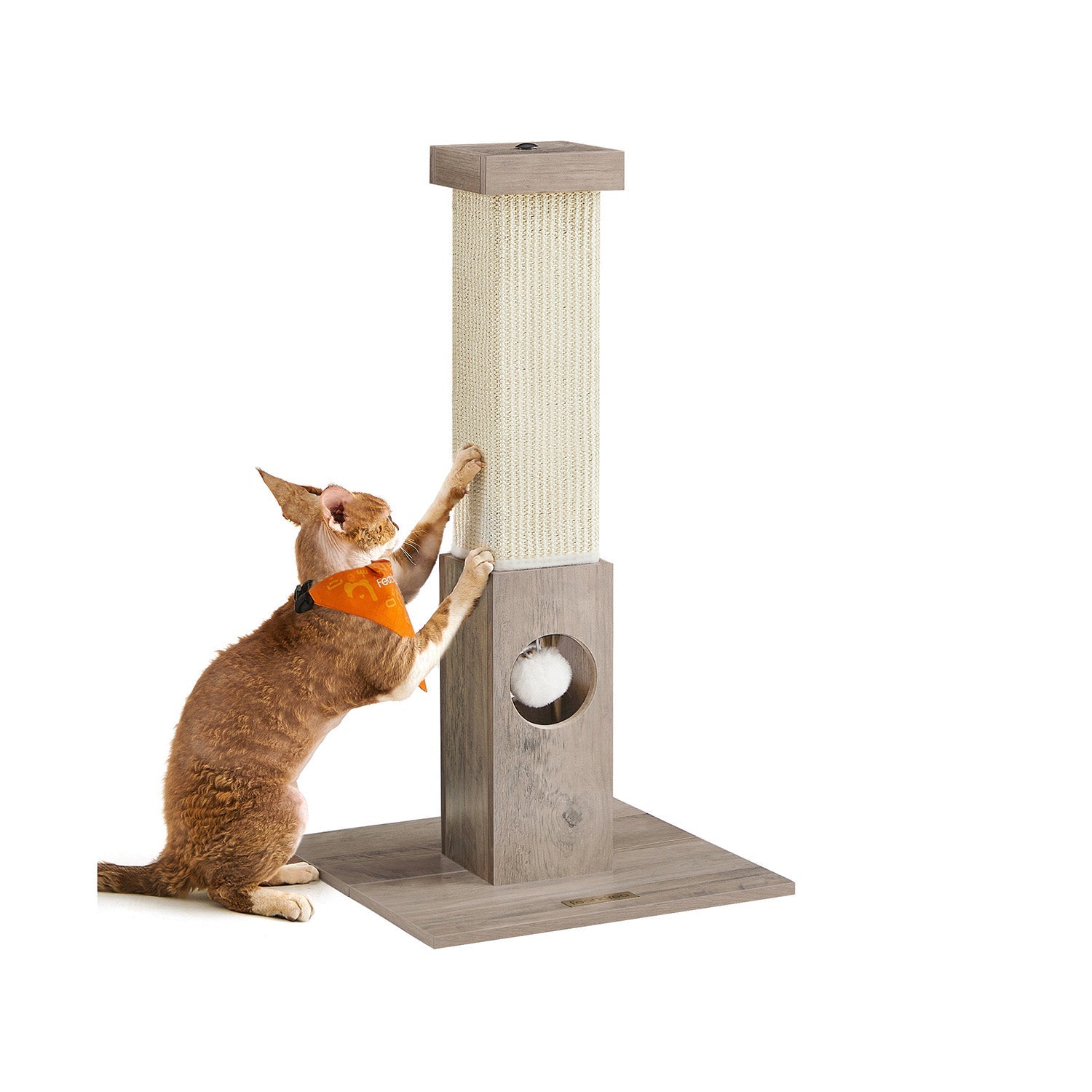 Scratching Post - med Toy - Sisaltouw - 73 cm - Brown