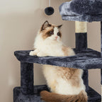 Scratching Post - 168 cm - 2 grottor