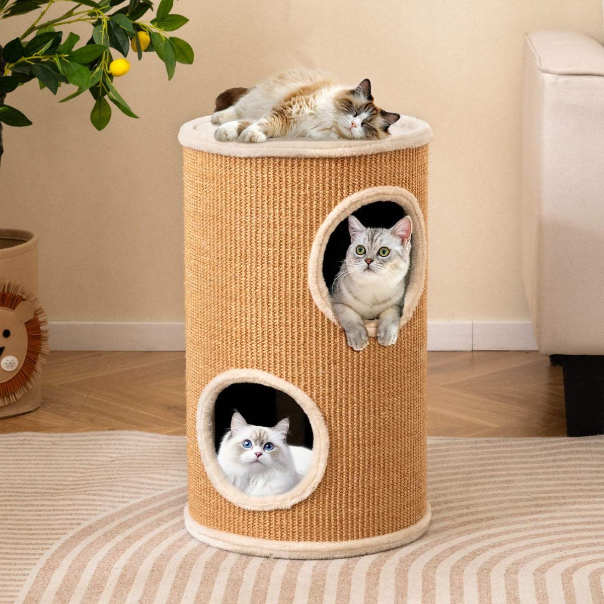 Klösburk – med sisal klösbräda och kattgrottor plyschbädd Kattburk – 3 Ø 36 cm – Beige