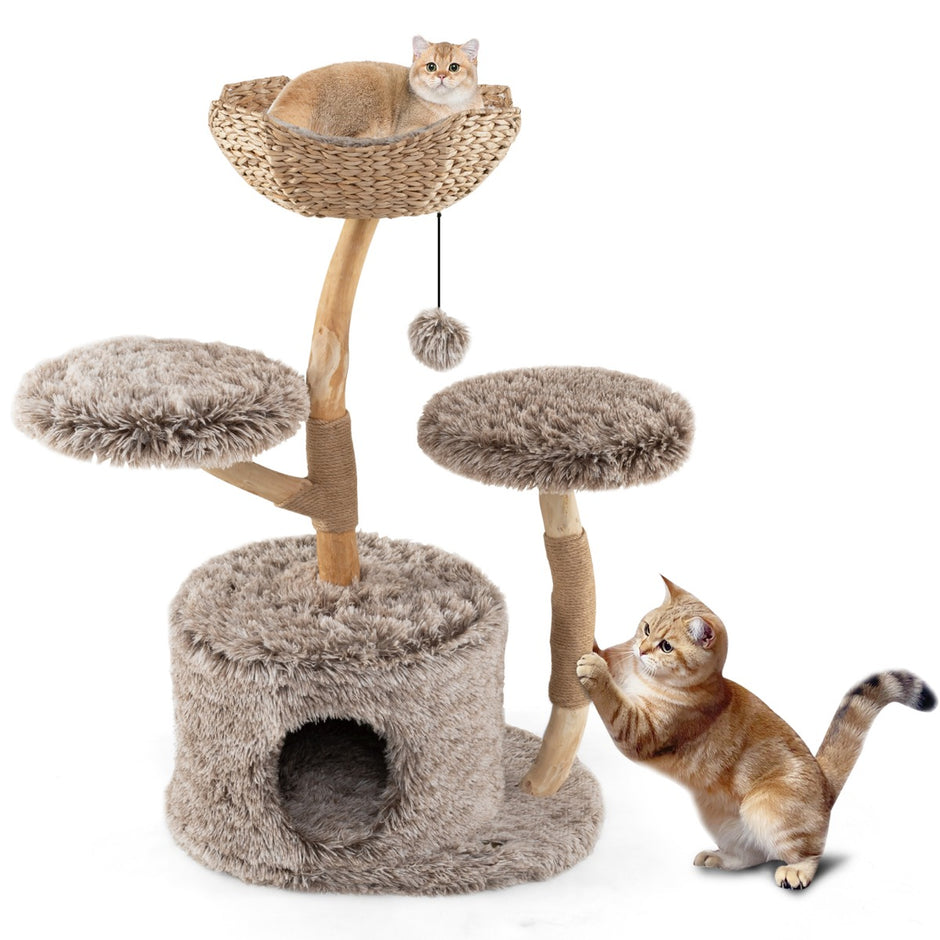 Klösträd – i med kattgrotta, plyschsittplatser, korg och klöspost. – 2 105 cm – Trä