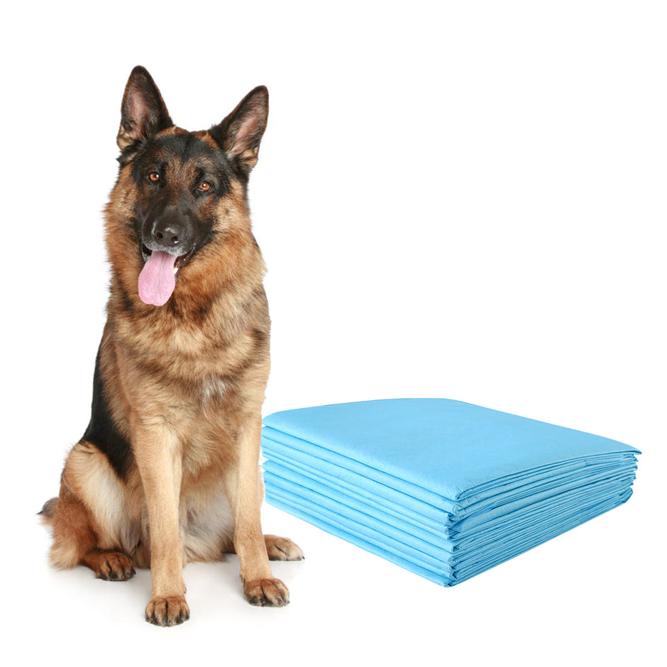 Träningsdyna – Hund Valpdyna Valphygienskydd st. – 150 75 x 75 cm – Blå och vit