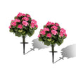Delnings – Set Konstgjorda Pelargoner Med Realistisk PE Stam och Silkblommor Blad – 2 – Rosa