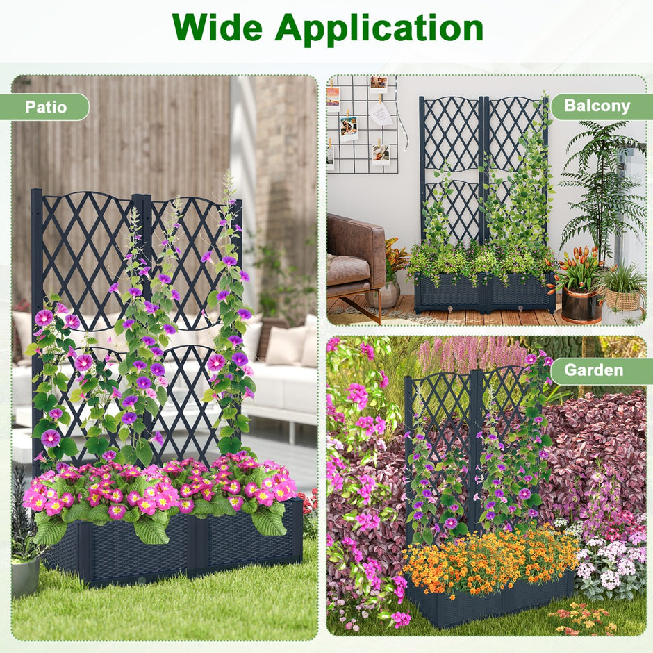 Blomlåda – med stödvägg för klättrande växter, höjdsåklåda spalier – 80 x 40 x 122 cm – Grå